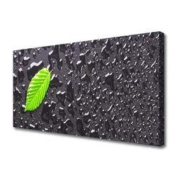 tulup.si Slika na platnu Art leaf kapljice 120x60 cm