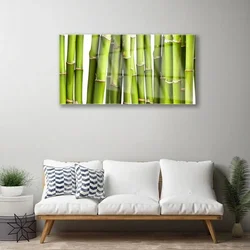 tulup.si Slika na steklu Bamboo rastlin narava 125x50 cm 2 obešalnika