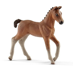 Schleich Konji - Hanoversko žrebe - 13818