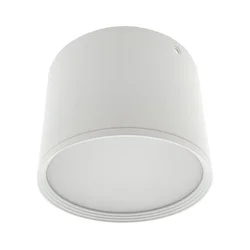 LED spot svetiljka LED/10W/230V 3000/4000/6400K prečnik 12 cm bela