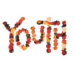 Citizen - Youth (10th Anniversary Edition) (Coloured) (LP)