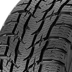 Nokian WR C3 ( 195/60 R16C 99R 6PR DOT2019)