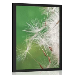 Plakat semena regrata - 60x90 silver