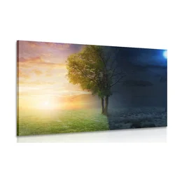 Slika dan in noč - 120x80