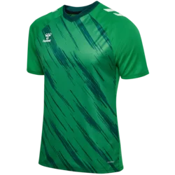 Dres Hummel Match Triumph Jersey