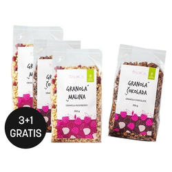 FRUŠTEK paket domače granole – 3 okusi