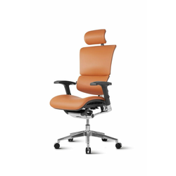 Ergovision Pisarniški stol Smart Deluxe, rjava