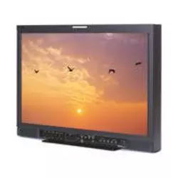JVC LCD monitor DT-R24L41DU