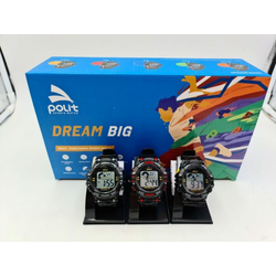 Sat Polit dream big model 668