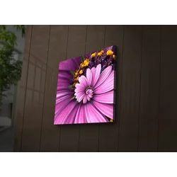 Wallity Slika sa LED osvetljenjem 2828IACT-43, 28x28 cm