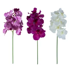 Homestar Orhideja Flowerly H60cm mešanica