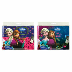 Diney Frozen diary