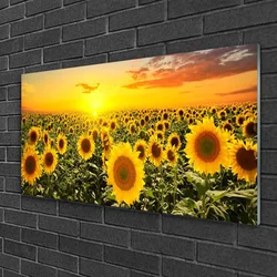 tulup.si Steklena slika Sončnice 100x50 cm 4 obešalnika