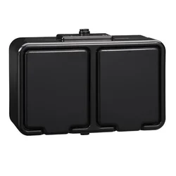 Schneider Electric Schneider Cedar črna - dvojna vtičnica IP44 NT-230H05