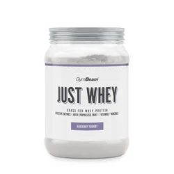 GymBeam Just Whey Grass-Fed Protein 500 g blueberry  yoghurt