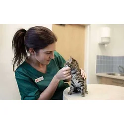 Trovet Renal & Oxalate Cat - 2.5 kg