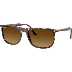 Ray-Ban Naočare za sunce RB 2216 143185