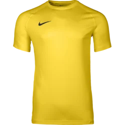 Nike Dres Dri-FIT Park VIII
