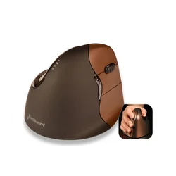 Evoluent Vertical Mouse 4 small wireless