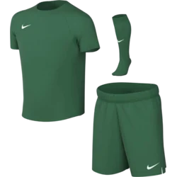 Nike Komplet Dri-FIT Park VIII Set Kids