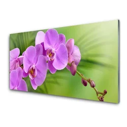 tulup.si Slika na steklu Orhideja orhideje 140x70 cm 4 obešalnika