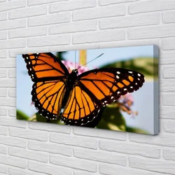 tulup.si Slika na platnu Pisane metulj 100x50 cm