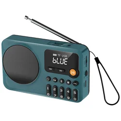 MeanIT Zvučnik bežični, FM radio, Bluetooth, USB, TF Card - B6