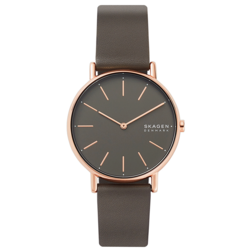 SKAGEN SKW2794