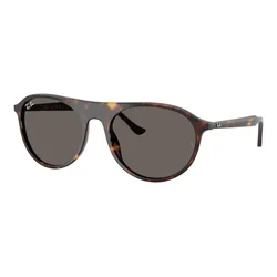 Ray-Ban Naočare za sunce RB 2215 902/B1