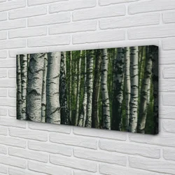 tulup.si Slika na platnu Breza gozd 120x60 cm