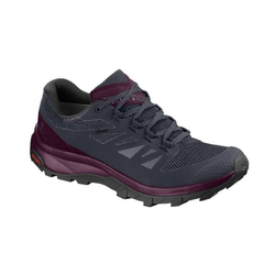 Tenisice Salomon SHOES OUTline GTX W Gy