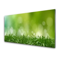 tulup.si Slika na steklu Grass nature rastlin 100x50 cm 2 obešalnika