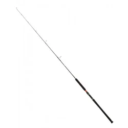 CONFLICT JIGGING 6ft 200g Spin (1530410)