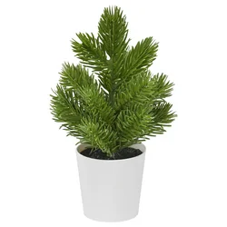VINTERFINT Veštačka biljka u saksiji, unutra/spolja jelka/zelena, 6 cm