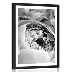 Plakat s paspartujem črnobeli cvetovi - 20x30 no frame