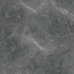Elegant Antracite 60x60
