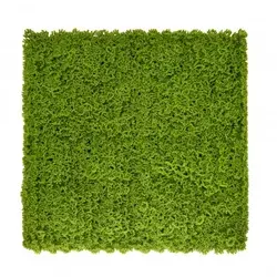 Mah plastična zelena stena 50x50 cm