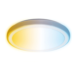 Aigostar - LED plafonsko svetlo za kupatilo LED/24W/230V IP44 + daljinski upravljač