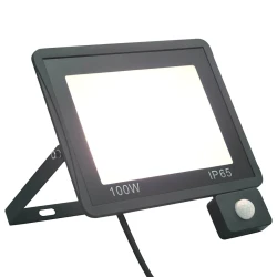 LED reflektor sa senzorom 100 W hladni bijeli