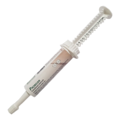 BIOCHEM Pasta sa probiotikom i vitaminima za pse i mačke Probican 15ml