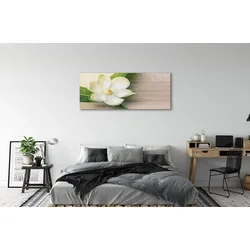 tulup.si Slika na platnu Bele magnolije 125x50 cm