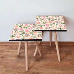 Hanah Home Set klub stočića 2Shp170, 2 komada, Šareni