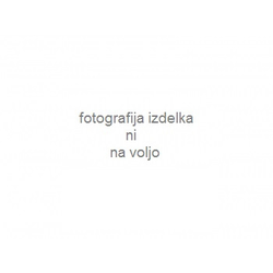 Grafička kartica Gigabyte GeForce GTX 1650 D6 WINDFORCE 4GB 128bit GV-N1656WF2OC-4GD rev. 1.0
