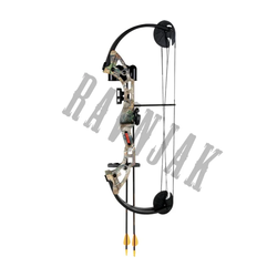 Bear Archery Compound Bow Warrior