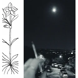 Jabu - A Soft & Gatherable Star (LP)
