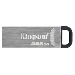 Kingston DTKN/256G USB Flash memorija, 256 GB, Srebrna