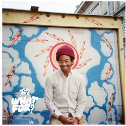 Toro Y Moi - What For? (Reissue) (LP)