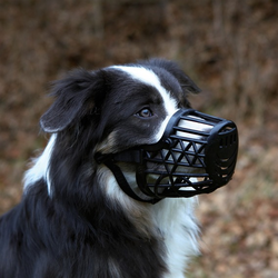Trixie Plastična korpa za pse - 35 cm