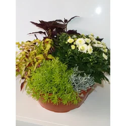 Jesenska skleda O 26 cm