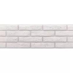 Ascot Blanco 20x60cm